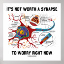 Search for synapses posters Psychology