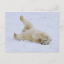 Search for threatening postcards Usa