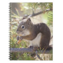 Search for wild one notebooks Animals in the wild