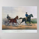 Recherche de geldings posters Jument