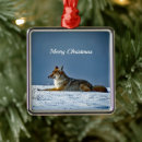 Search for coyote ornaments Wildlife