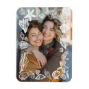 Search for seashells magnets Modern