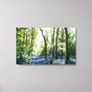 Search for bluebell canvas prints Floral