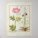 Search for herbal medicine posters Robinet
