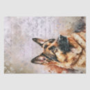 Search for german shepherd tissue paper Animal