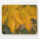 Search for leaf thank mousepads Fall