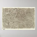 Search for relief map posters Topographic
