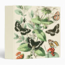 Search for butterfly binders Leaves