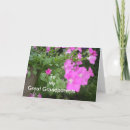 Search for petunias cards Nature