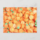 Search for pumpkin image postcards Photography