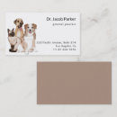 Search for veterinary business cards Cats