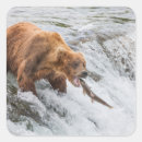 Search for ak stickers Bear