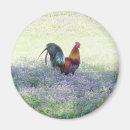 Recherche de variation Oiseau
