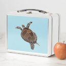 Search for sea turtle lunch boxes Animal