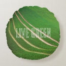 Search for vegan pillows Ecology