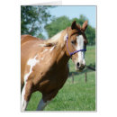 Search for lunge postcards Horse