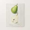 Recherche de poires puzzles Vintage