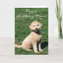 Search for goldendoodle birthday cards Labradoodle