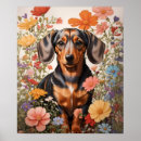 Search for dachshund posters Cute