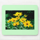 Search for eis mousepads Black eyed susans