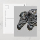 Search for zebra pattern photography Stripes