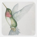 Search for backyard bird stickers Hummingbird
