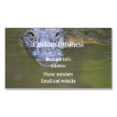 Search for alligator business cards Swamp