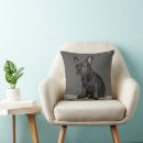 Search for french bulldog puppy pillows Pet