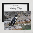 Search for endangered invitations Wildlife
