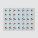 Search for bee tissue paper Bug