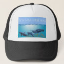 Search for humpbacked hats Wildlife
