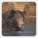Recherche de steve autocollants Alaska