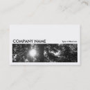 Search for trees horizontal photocards Modern