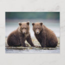 Recherche de deux animaux cartes postales Faune animale
