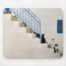 Recherche de chat blanc tapis souris Bleu