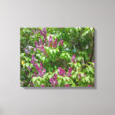 Search for lilac canvas prints White