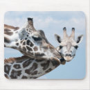 Recherche de embrassement tapis souris Baisers