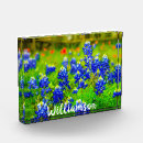 Recherche de pinceau indien maison deco Bluebonnets