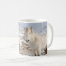 Search for martine mugs Equus caballus