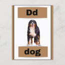 Search for alphabets cards Kids
