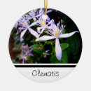 Search for gardener ornaments Nature