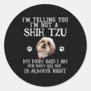 Search for shihtzu stickers Pet