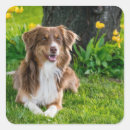 Recherche de animal images stickers Mignon