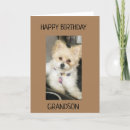 Search for funny grandson birthday cards Photography