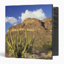 Search for pipe binders Arid