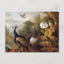 Search for jacob postcards Vintage