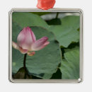 Search for asian ornaments Travel