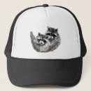 Search for funny racoon hats Animal