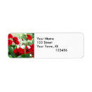 Search for geraniums return address labels Flowers