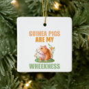 Search for guinea pig christmas decor Rodent
